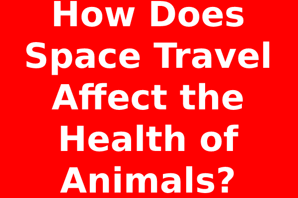 How Does Space Travel Affect the Health of Animals?