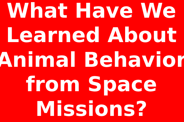 What Have We Learned About Animal Behavior from Space Missions?
