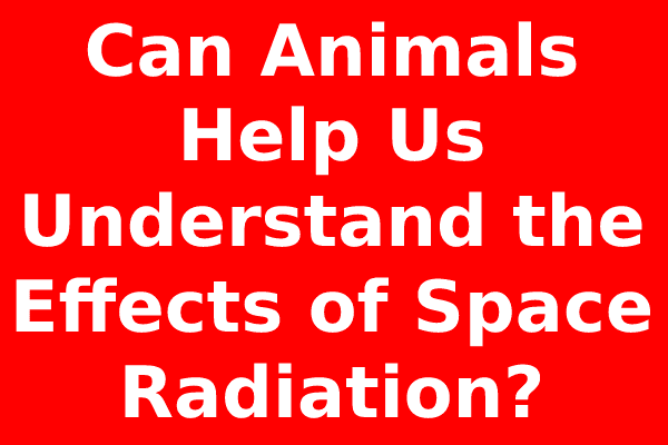 Can Animals Help Us Understand the Effects of Space Radiation?