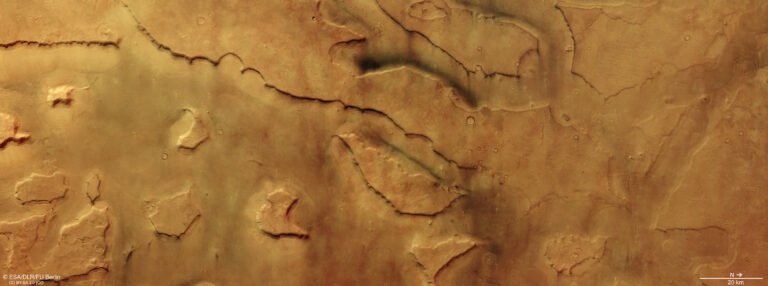 Dozens of dust devils hidden in plain sight