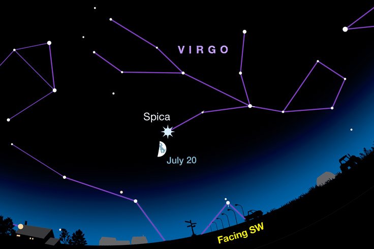 July Podcast: Spotlight on Spica