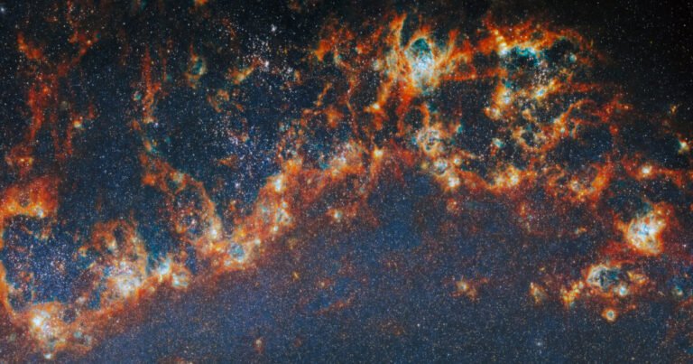 Nurseries, names, and nominations | The Planetary Society